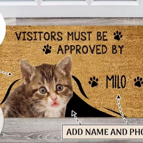 Interior Design Quotes - Custom quote entryway mat cat slogan